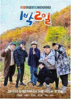 情感访谈综艺